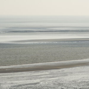 Het Wad, 18 februari 2015